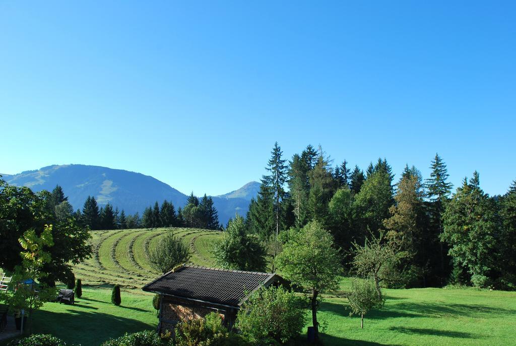 Berggasthof Baernstatt Scheffau am Wilden Kaiser Extérieur photo